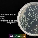 ছোঁয়াচে-রোগ