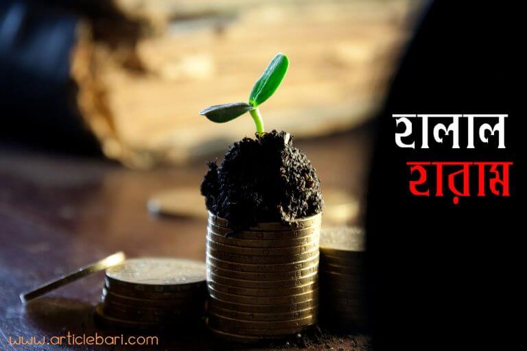 হালাল হারাম পরিচয় । ইসলামে হালাল উপার্জনের এত গুরুত্ব কেন ? হালাল হারাম পরিচয় । ইসলামে হালাল উপার্জনের এত গুরুত্ব কেন ?