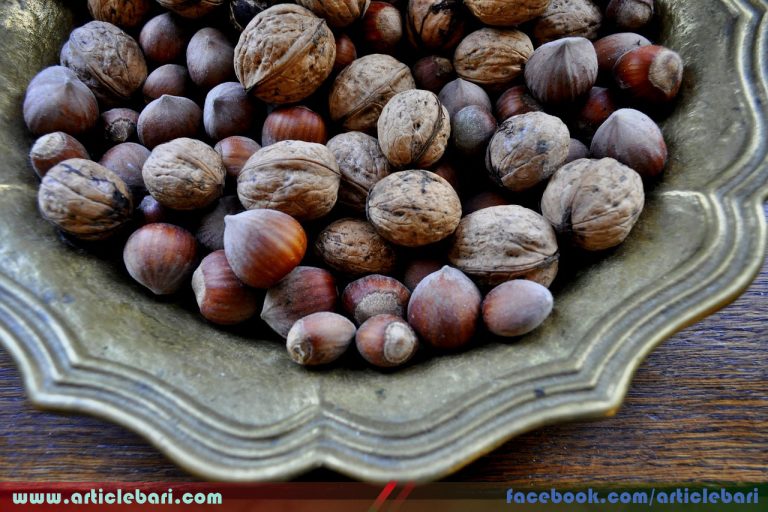রাজার দেওয়া বীজ