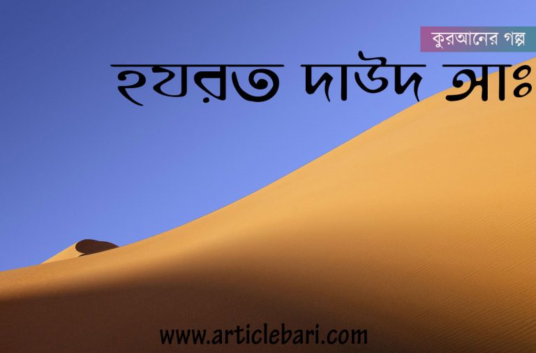 হযরত দাউদ আঃ যার কবরে পাখ-পাখালী ছায়া দান করেছেন । হযরত দাউদ আঃ যার কবরে পাখ-পাখালী ছায়া দান করেছেন ।