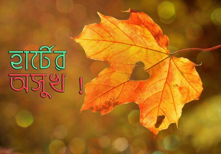 অন্তরের ১০টি রোগের বর্ণনা – যা আপনার আখেরাত বরবাদ করে দিবে ।