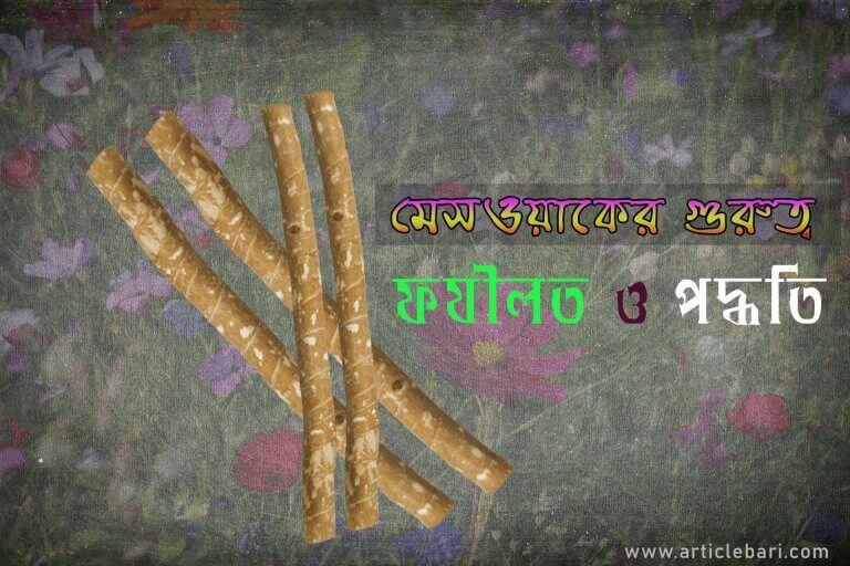 মিসওয়াকের ফজিলত, গুরুত্ব ও পদ্ধতি